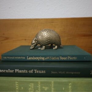 Brass Armadillo Figurine